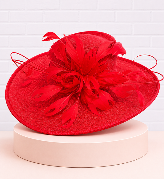 Red Feathered Hat