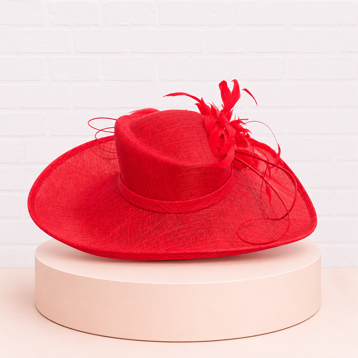 Red Feathered Hat